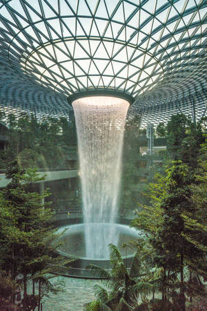 Jewel Changi Airport Themes Wallpaper