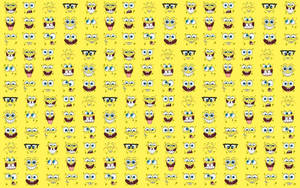 Join Spongebob Squarepants On His Fun And Exciting Adventures! Wallpaper