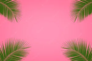 Join Us For The Ultimate Pink Summer Adventure! Wallpaper