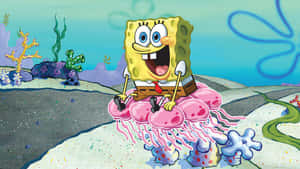 Jolly Spongebob Jellyfish Fields Wallpaper
