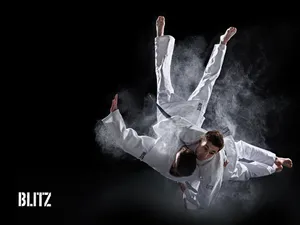 Judo Smokey Pictorial Wallpaper