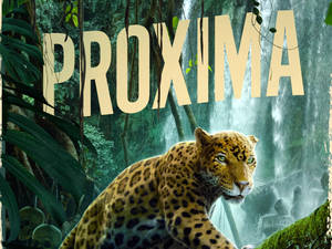 Jungle Cruise Proxima Poster Wallpaper