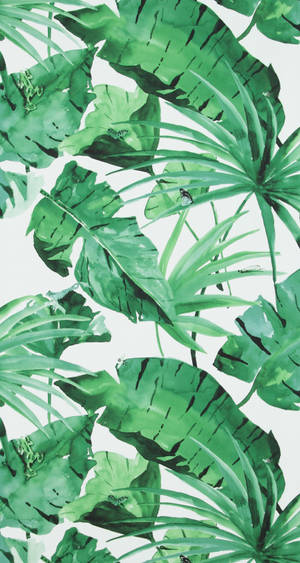 Jungle Green Leaves Wallpaper