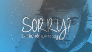 Justin Bieber Sorry Lyrics Wallpaper