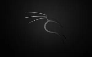 Kali Linux Matte Dragon Wallpaper