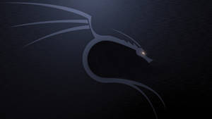 Kali Linux Os Dragon Grey Wallpaper