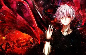 Kaneki Ken Tokyo Ghoul Anime Wallpaper