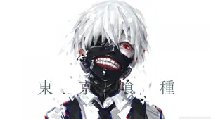 Kaneki Vest Tokyo Ghoul Wallpaper