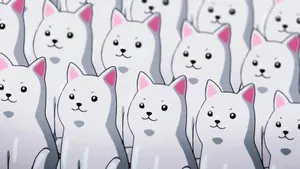 Kawaii Hd White Dogs Wallpaper