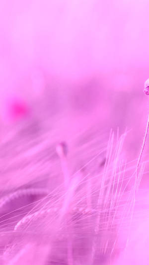 Kawaii Purple Grass Wallpaper