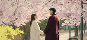 Kdrama Cherry Blossom Scene Wallpaper