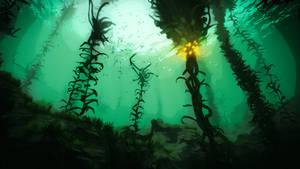 Kelp Forest Subnautica Wallpaper