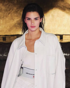 Kendall Jenner Wearing Alexander Wang Wallpaper