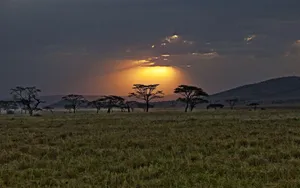 Kenya Safari Nature Reserve Wallpaper