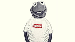 Kermit The Frog Sporting Supreme On A Laptop Wallpaper