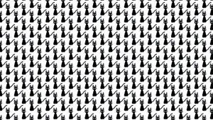 Kiki Soaring Through The Sky With Jiji On Her Delivery Broom Wallpaper