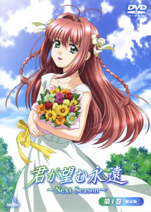 Kimi Ga Nozomu Eien Dvd Cover Wallpaper