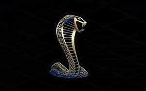 King Cobra Gold Logo Wallpaper