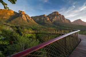 Kirstenbosch Bridge Cape Town Wallpaper