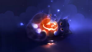 Kitten Halloween Pumpkin Play Wallpaper