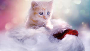 Kitten With Christmas Decorations Wallpaper