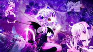 Koneko Cat Highschool Dxd Wallpaper