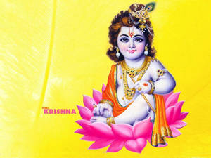 Krishna Sitting On Lotus Wallpaper