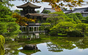 Kyoto Pavilion Pond Wallpaper