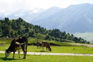 Kyrgyzstan Countryside Wallpaper