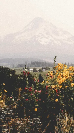 La Cocha Lagoon Relaxing Iphone Wallpaper