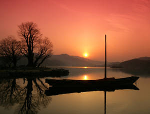 Lake Side South Korea Wallpaper