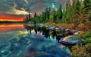 Lake Side Trees Live Desktop Wallpaper