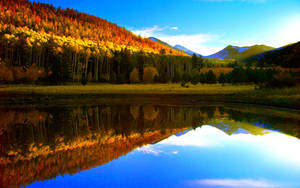 Lake View With Autumn Trees Wallpaper