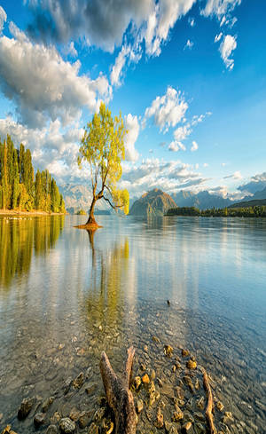 Lake Wanaka Full Hd Phone Wallpaper