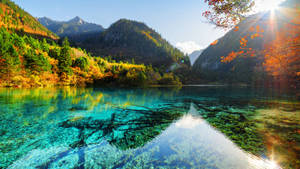 Lakeview Clear Water Wallpaper
