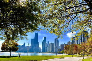 Lakeview In Lincoln Park, Chicago, Illinois Wallpaper