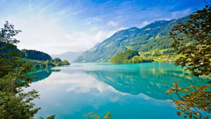 Lakeview Nature Photograph Wallpaper