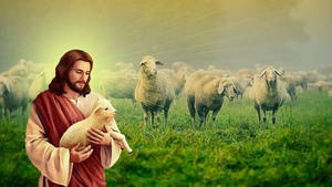 Lamb Jesus Desktop Wallpaper