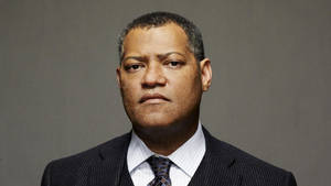 Laurence Fishburne Gray Background Photo Wallpaper