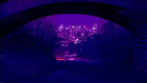 Lavender City Lights Wallpaper