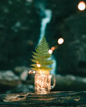 Leaf In A Jar Wallpaper
