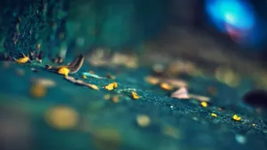 Leaves On Concrete Photography Wallpaper