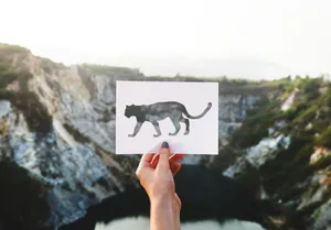 Leopard Paper Art Wallpaper