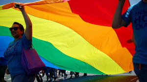 Lesbian Girl Waving Flag Wallpaper