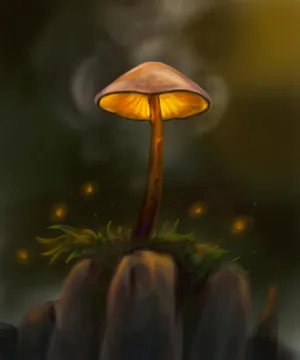 Let Your Imagination Soar With These Magical Mushrooms. Wallpaper