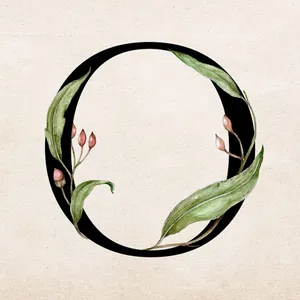 Letter O Foliage Design Wallpaper