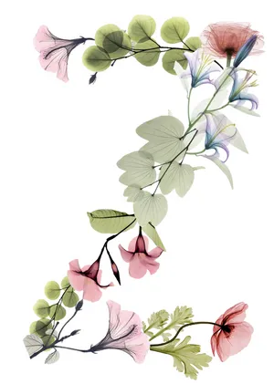 Letter Z Arranged Flowers Wallpaper