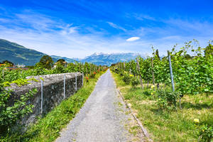 Lichtenstein Narrow Road Wallpaper