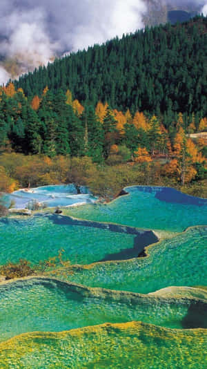 Life Is An Adventure – Capture It With Your Travel Iphone Wallpaper