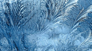 Light Blue Frost Wallpaper